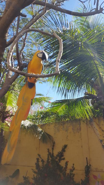 Pousada Agua Marinha カノア・ケブラーダ エクステリア 写真